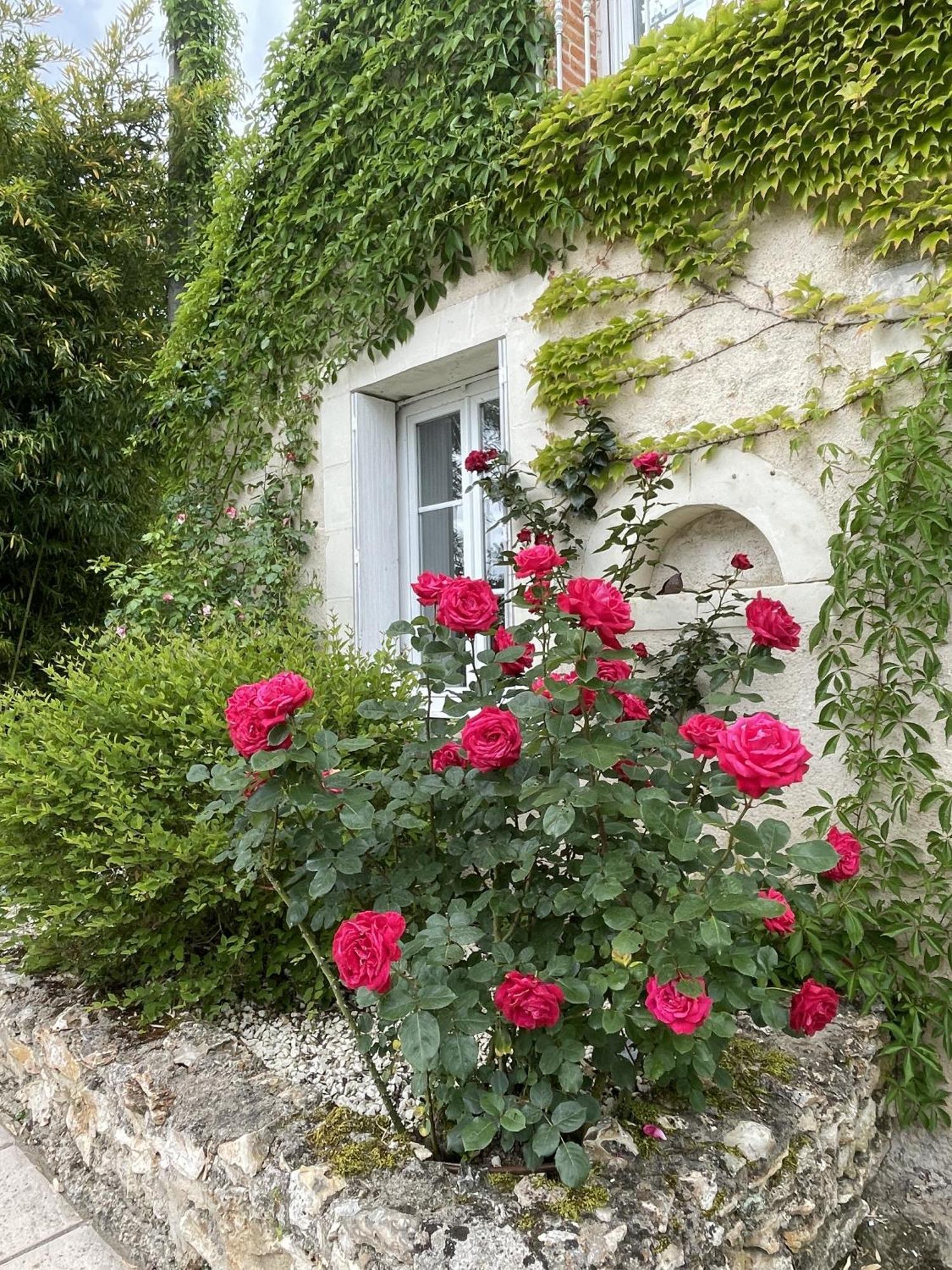 Villa Cassandre Esvres Exterior photo